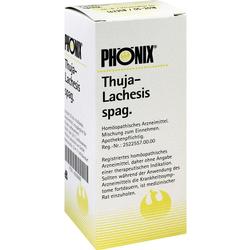 PHÖNIX THUJA lachesis spag.Mischung